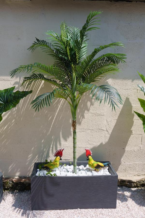 L'Escale Tropicale, Appartement Independant Avec Terrasse Privative Saint-Quentin  Bagian luar foto